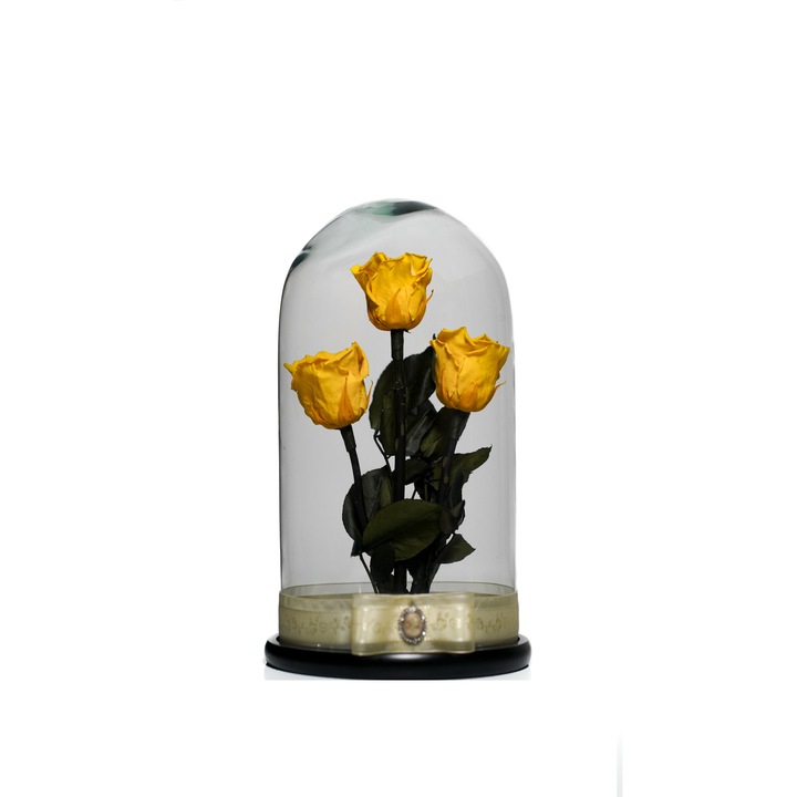 Aranjament cu 3 trandafiri criogenati in cupola de sticla 35 cm pe blat negru si brosa Camee, Galben, Star Decor