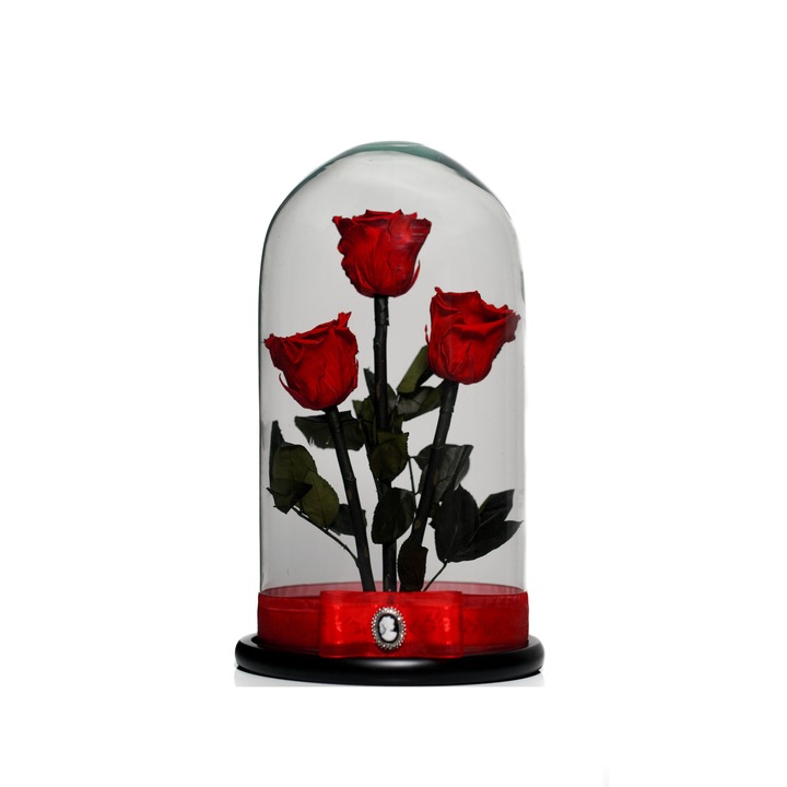 Aranjament cu 3 trandafiri criogenati in cupola de sticla 35 cm pe blat negru si brosa Camee, Rosu, Star Decor
