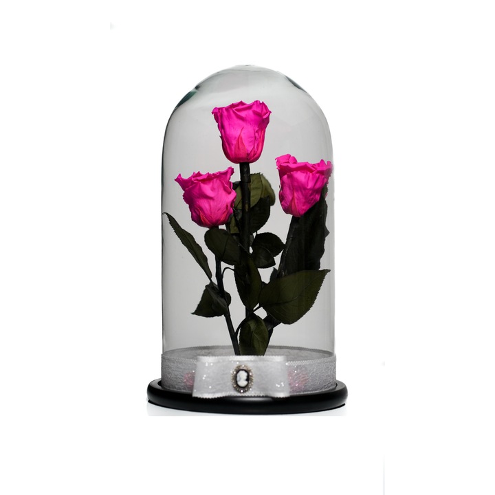 Aranjament cu 3 trandafiri criogenati in cupola de sticla 35 cm pe blat negru si brosa Camee, Roz, Star Decor