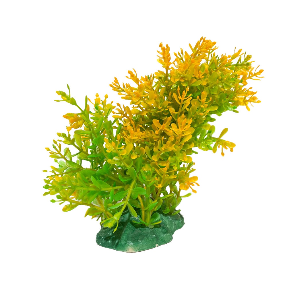 Planta acvariu artificiala Bacopa verde cu galben