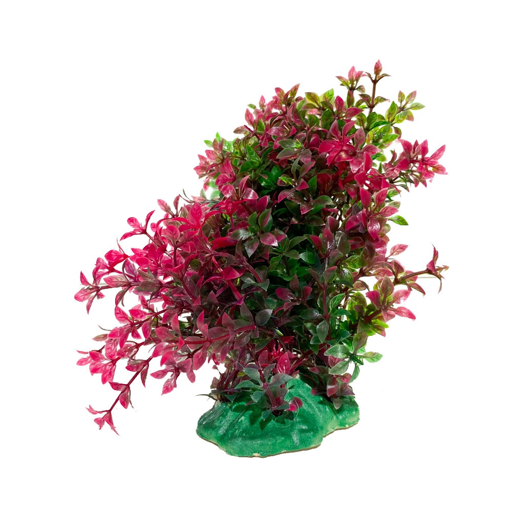 Planta acvariu artificiala Ludwigia rosie