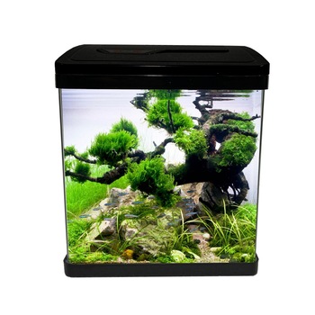 Mini acvariu 19 cm echipat cu lumina led si filtru Mini acvariu 19 cm echipat cu lumina led si filtru