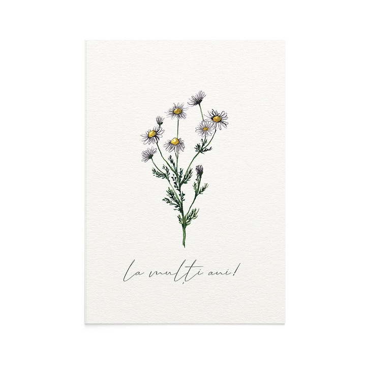Felicitare La Multi Ani Chamomile, Zizula Cards, 105 x 150 mm