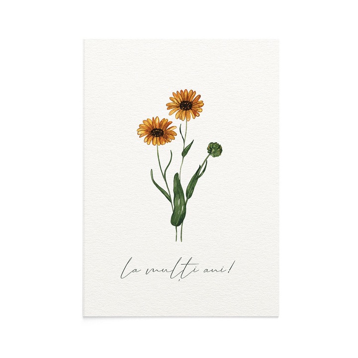 Felicitare La Multi Ani Calendula, Zizula Cards, 105 x 150 mm