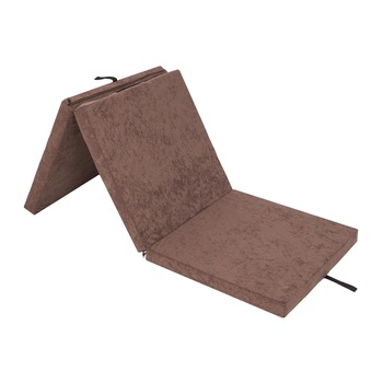 Saltea plianta  Saltea plianta