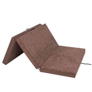 Saltea plianta  Saltea plianta