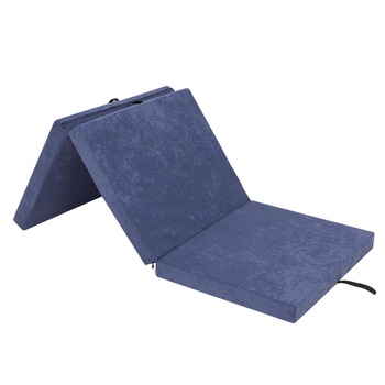 Saltea plianta  Saltea plianta