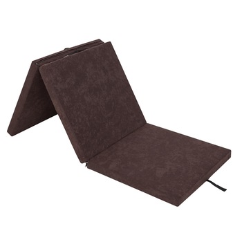 Saltea plianta  Saltea plianta