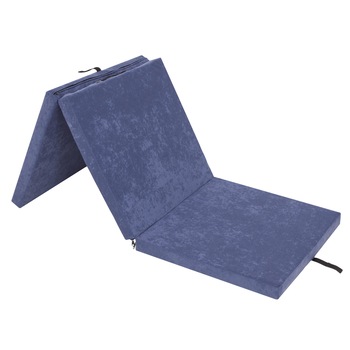 Saltea plianta  Saltea plianta