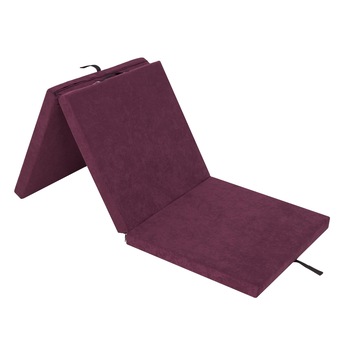 Saltea plianta  Saltea plianta