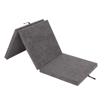 Saltea plianta  Saltea plianta