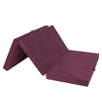 Saltea plianta  Saltea plianta