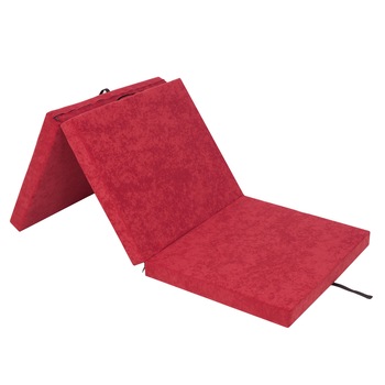 Saltea plianta  Saltea plianta