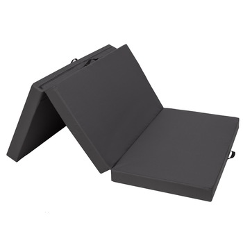 Saltea plianta  Saltea plianta