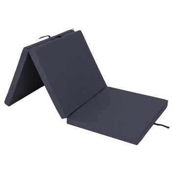 Saltea plianta  Saltea plianta