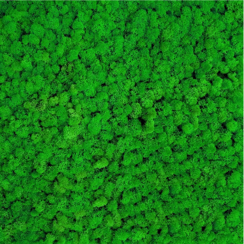 Licheni stabilizati ARTFLORA Green Apple cutie 2kg