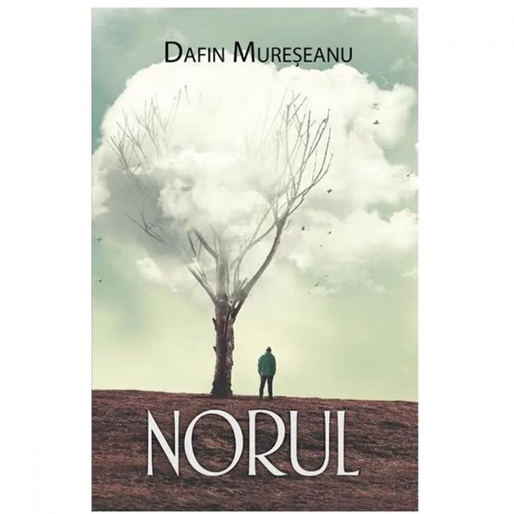 Norul, Dafin Mureseanu, román nyelvű köny