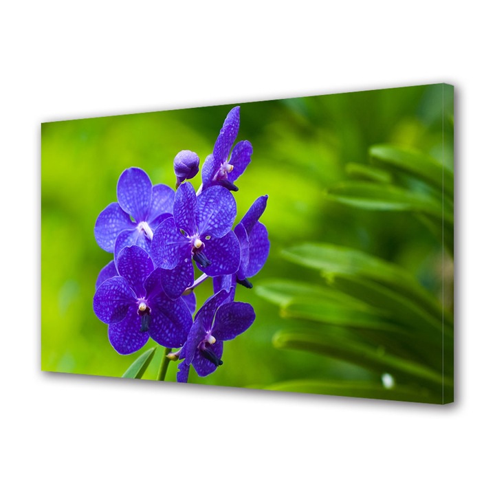 Tablou Canvas Orhidee albastre, 20 x 30 cm
