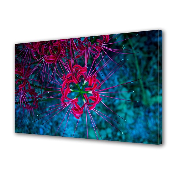 Tablou Canvas Flori subacvatice, 20 x 30 cm