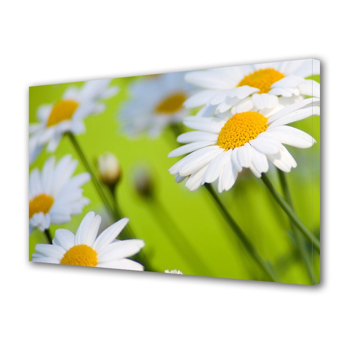 Tablou Canvas Margarete, 20 x 30 cm