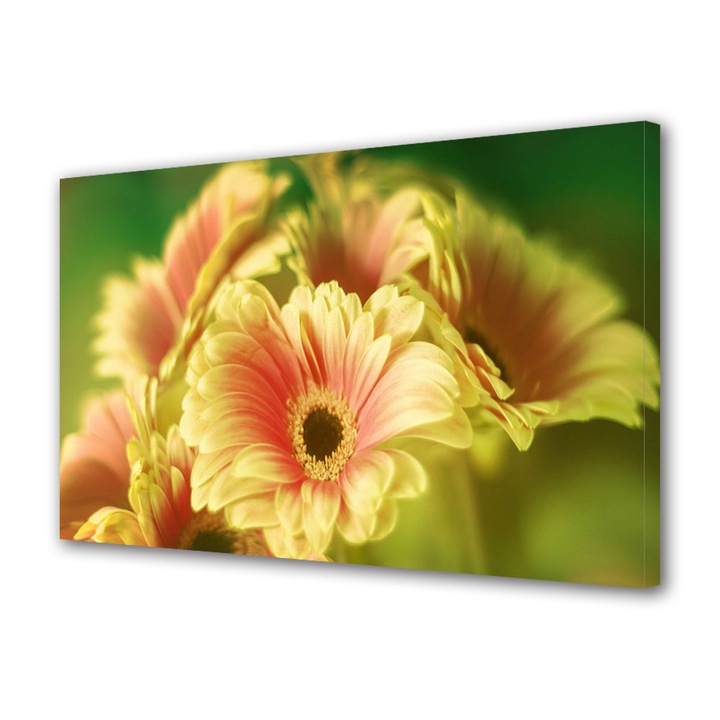 Tablou Canvas Buchet de gerbera, 20 x 30 cm