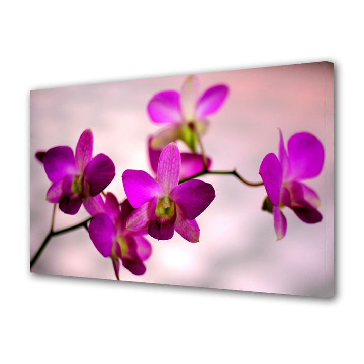 Tablou Canvas Culoare de orhidee, 20 x 30 cm