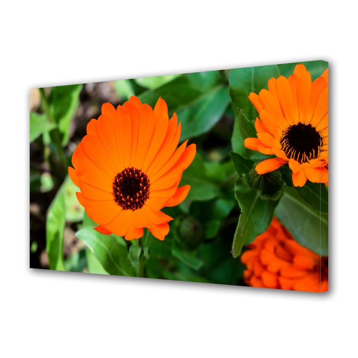 Tablou Canvas Flori portocalii, 20 x 30 cm