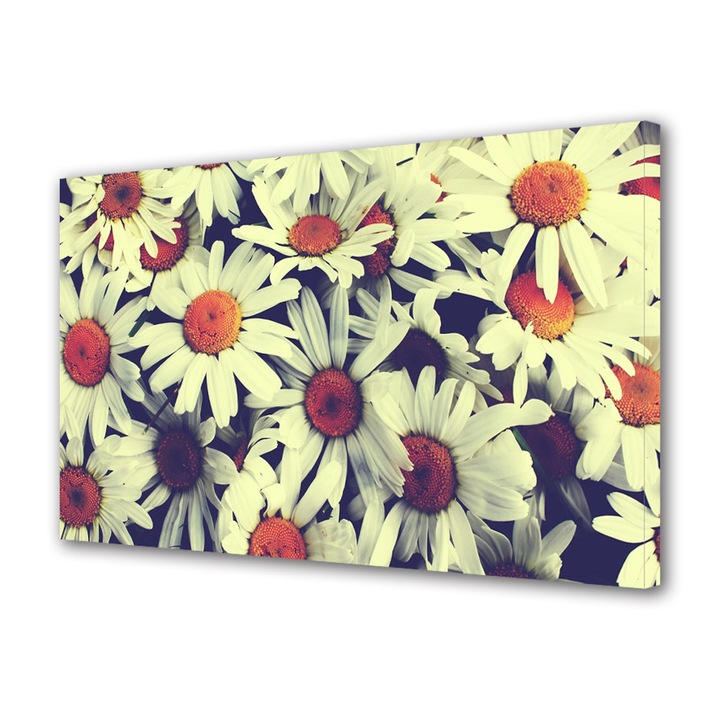 Tablou Canvas Flori de musetel, 20 x 30 cm