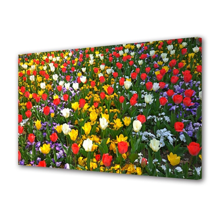 Tablou Canvas Culori amestecate, 20 x 30 cm