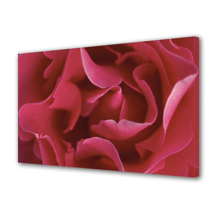 Tablou Canvas Petale subtirele, 20 x 30 cm