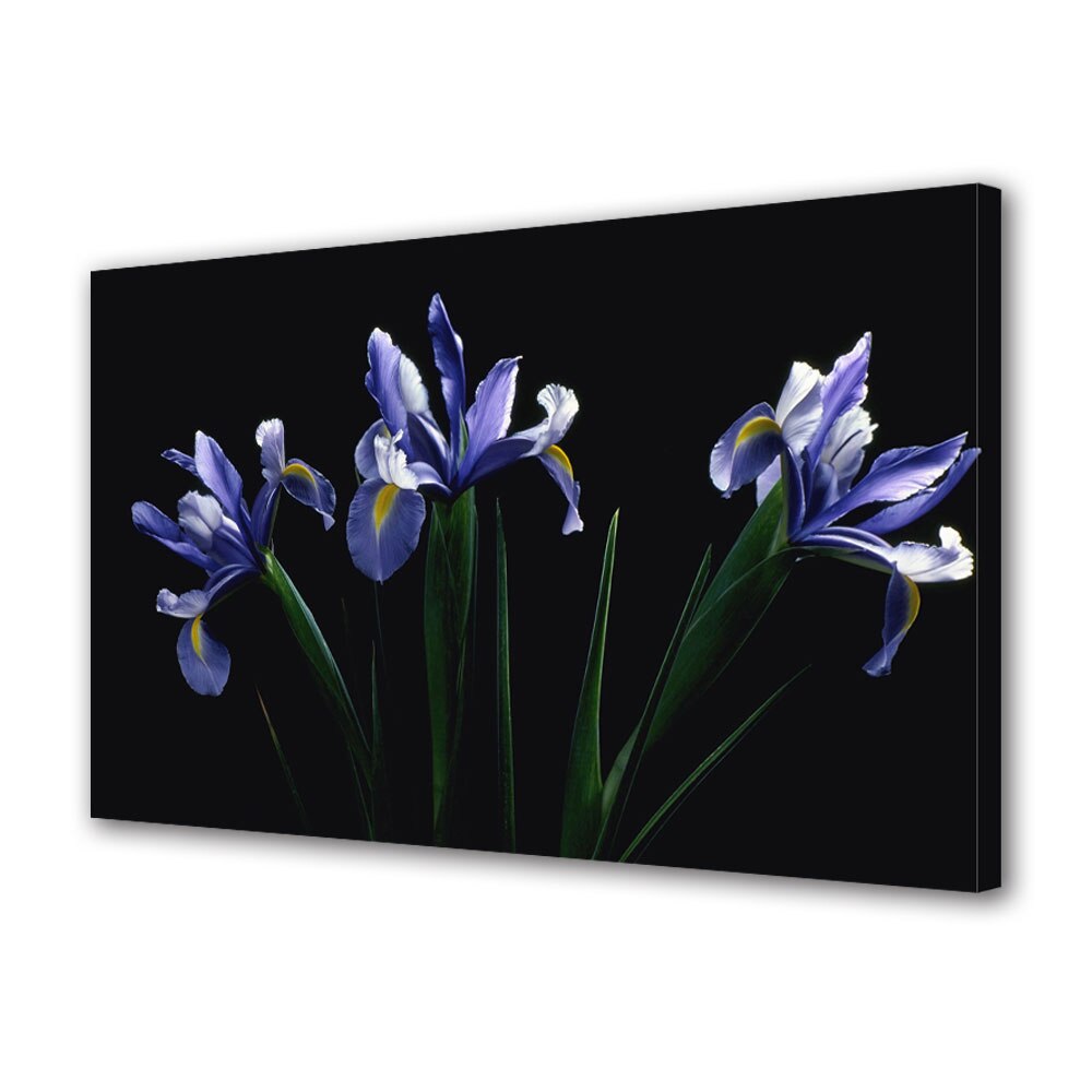 Tablou Canvas Flori mov, 20 x 30 cm