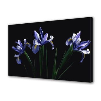 Tablou Canvas Flori mov, 20 x 30 cm Tablou Canvas Flori mov, 20 x 30 cm