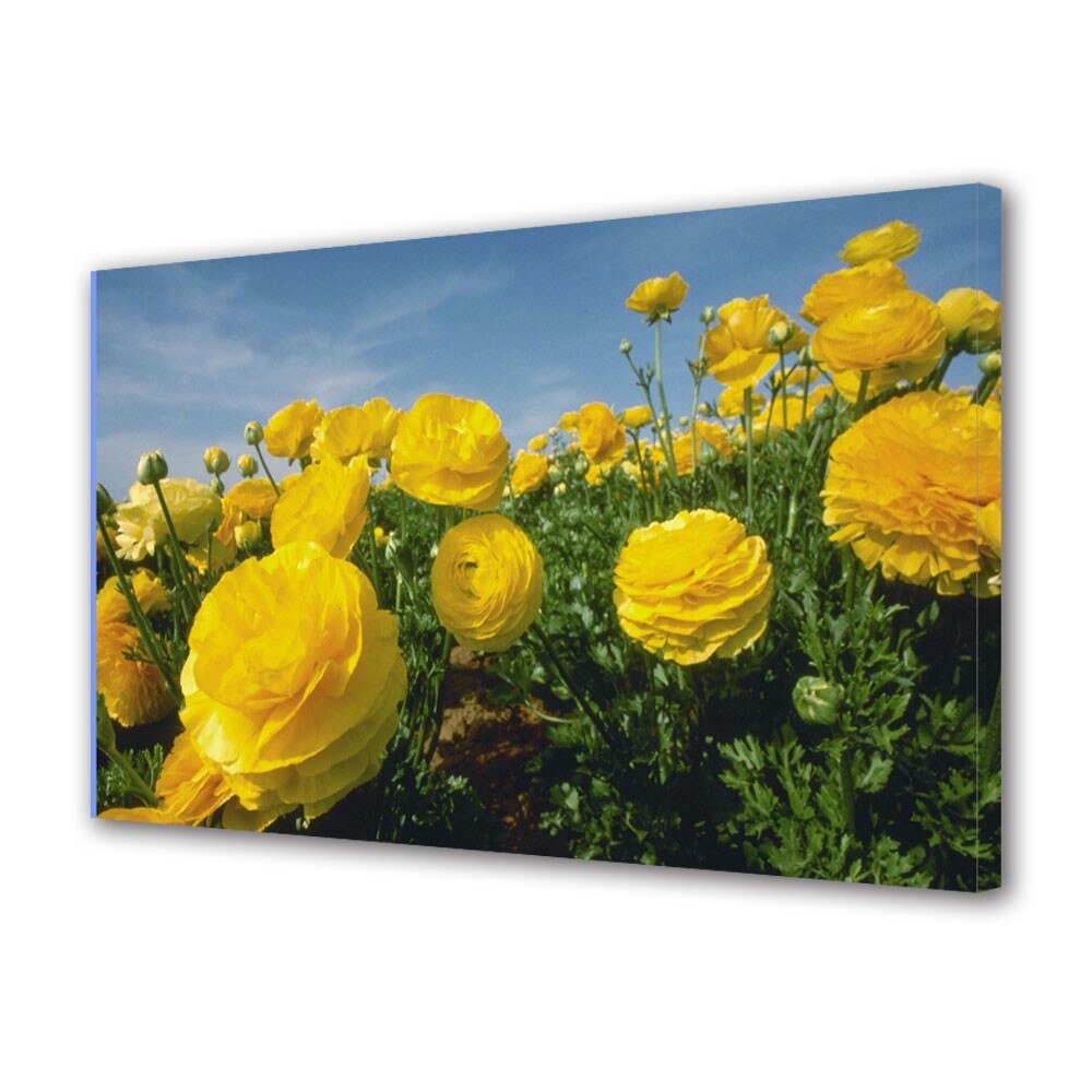 Tablou Canvas Flori galbene, 20 x 30 cm