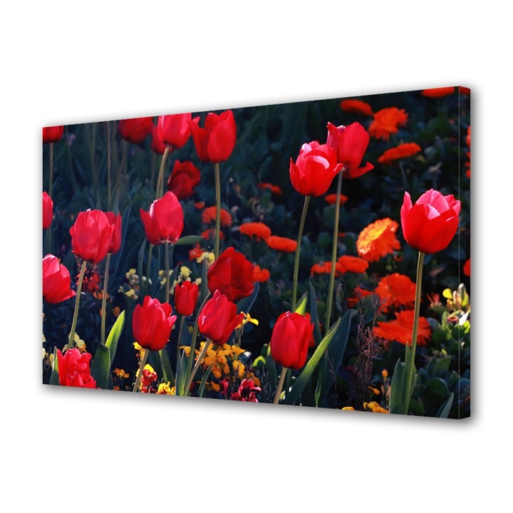 Tablou Canvas Lalele in gradina, 20 x 30 cm