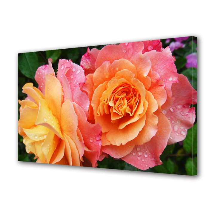 Tablou Canvas Trandafiri in gradina, 20 x 30 cm
