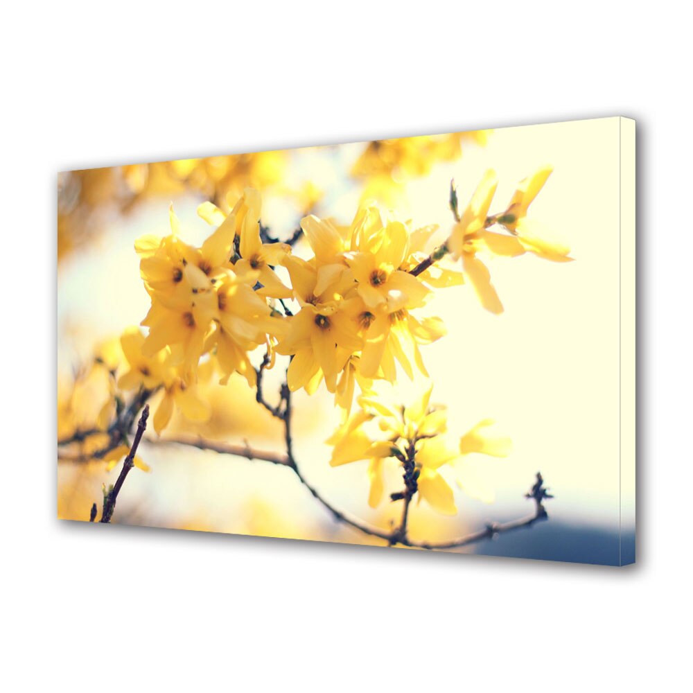 Tablou Canvas Galbene, 30 x 45 cm