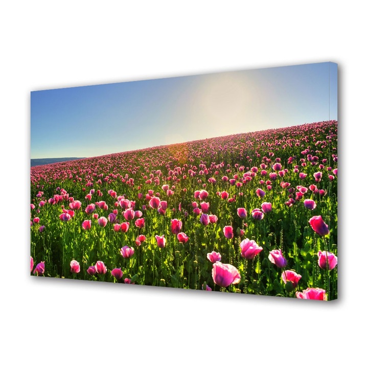 Tablou Canvas Superb camp colorat cu flori, 20 x 30 cm