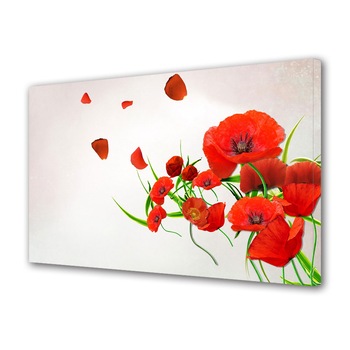 Tablou Canvas Maci in vant, 20 x 30 cm Tablou Canvas Maci in vant, 20 x 30 cm