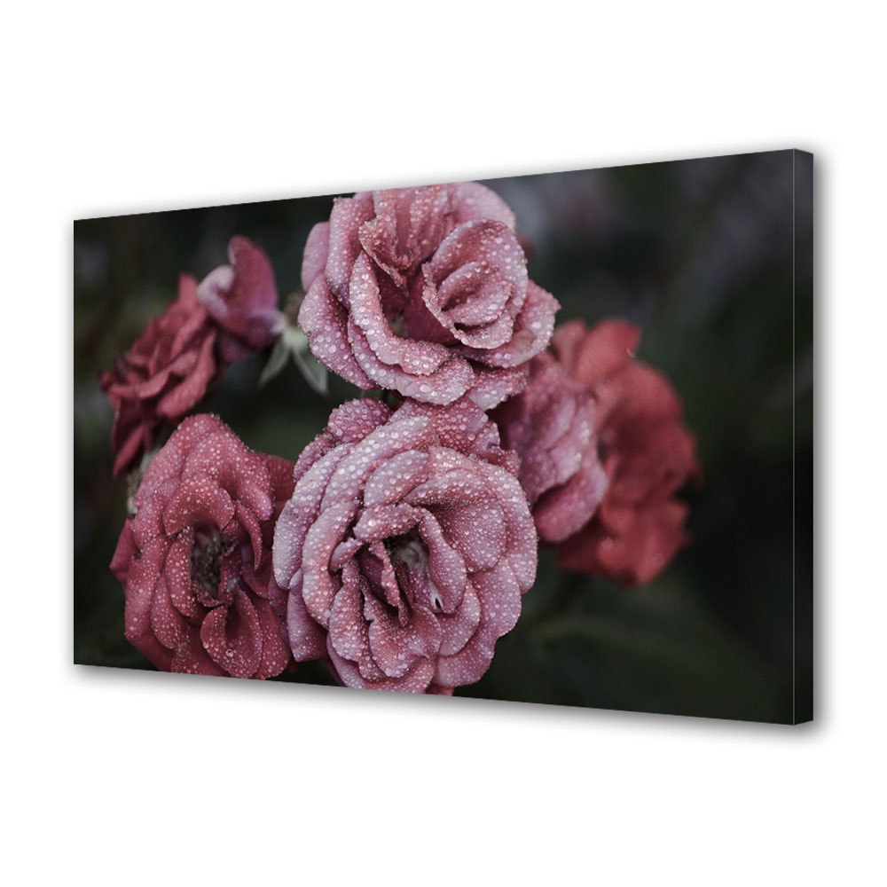 Tablou Canvas Trandafiri infrigurati, 20 x 30 cm