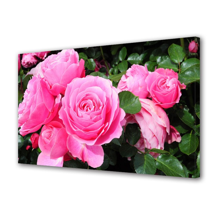 Tablou Canvas Trandafirii sunt roz, 20 x 30 cm