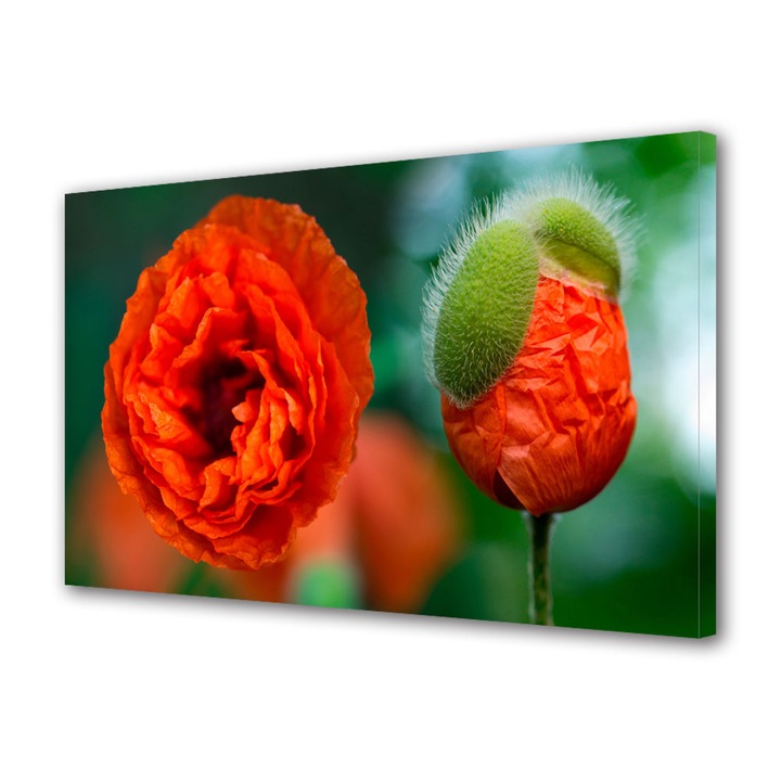 Tablou Canvas Mac, 20 x 30 cm