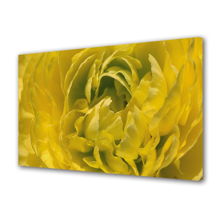 Tablou Canvas Floare batuta, 20 x 30 cm