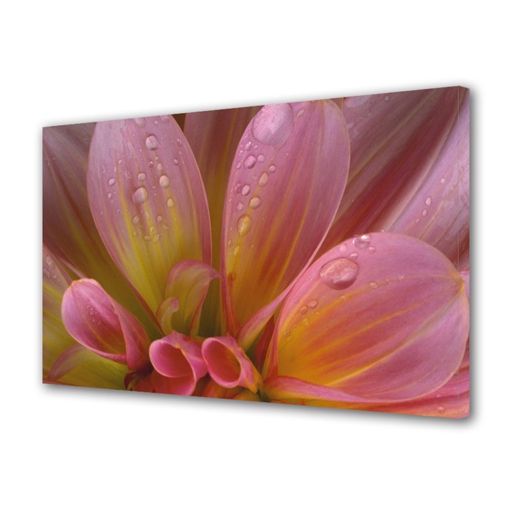 Tablou Canvas Petale si roua, 20 x 30 cm