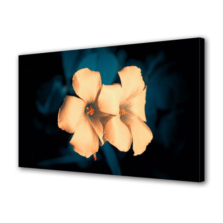 Tablou Canvas Flori superbe, 20 x 30 cm