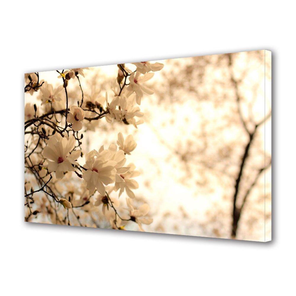 Tablou Canvas Copac inflorit, 20 x 30 cm