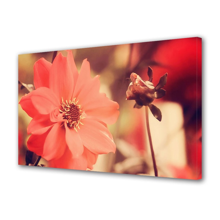 Tablou Canvas Flori mari albe, 20 x 30 cm