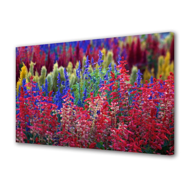 Tablou Canvas Flori curcubeu, 40 x 60 cm