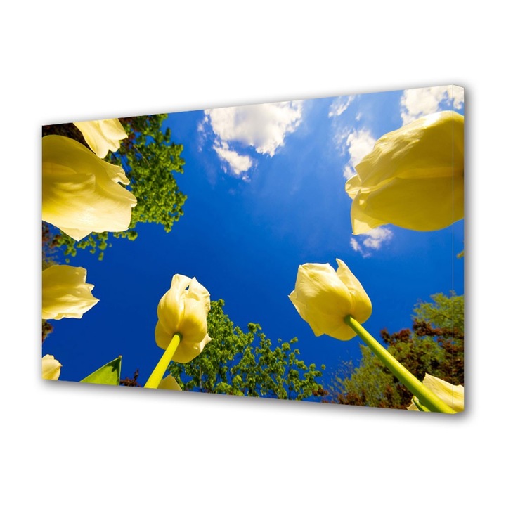 Tablou Canvas Lalele spre cer, 70 x 100 cm