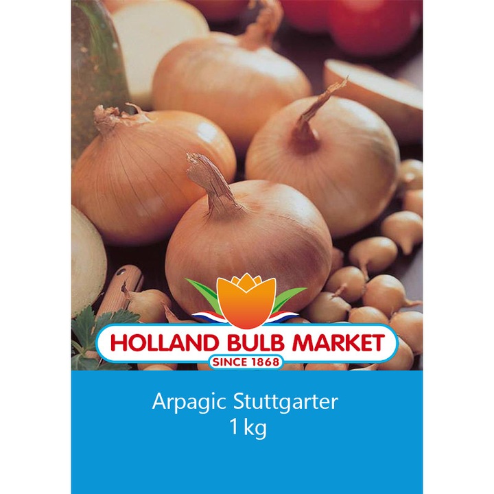Arpagic Stuttgarter Riesen, 1 kilogram