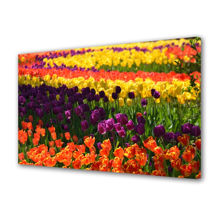 Tablou Canvas Curcubeu de flori, 50 x 70 cm